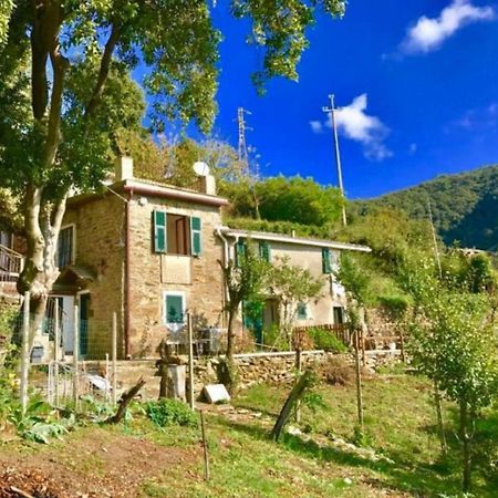 La Quiete Accesa Ξενοδοχείο Βερνάτσα Εξωτερικό φωτογραφία